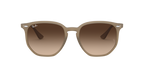 Ray-Ban 0RB4306