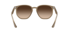 Ray-Ban 0RB4306