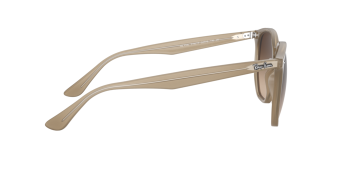 Ray-Ban 0RB4306