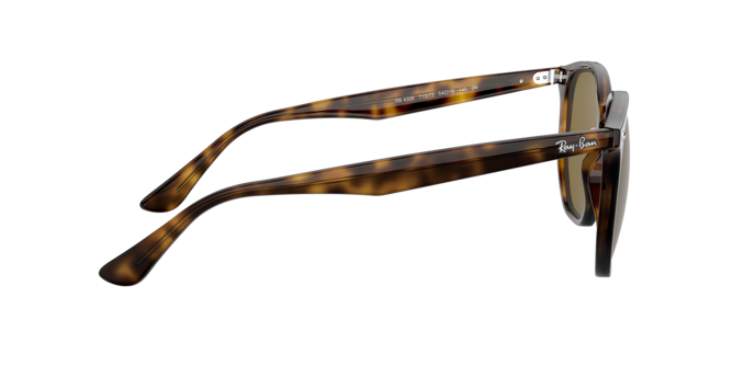 Ray-Ban 0RB4306