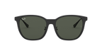 Ray-Ban 0RB4333D