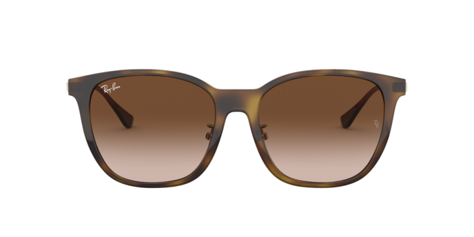 Ray-Ban 0RB4333D