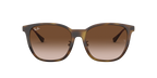 Ray-Ban 0RB4333D