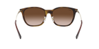 Ray-Ban 0RB4333D