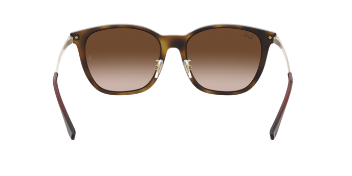 Ray-Ban 0RB4333D