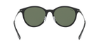 Ray-Ban 0RB4334D