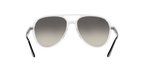 Ray-Ban 0RB4376