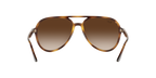 Ray-Ban 0RB4376