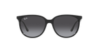 Ray-Ban 0RB4378F