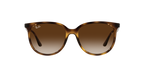 Ray-Ban 0RB4378F