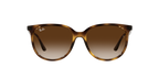 Ray-Ban 0RB4378