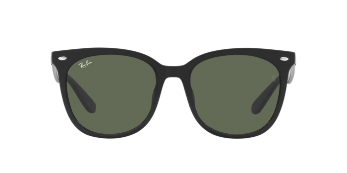 Ray-Ban 0RB4379D