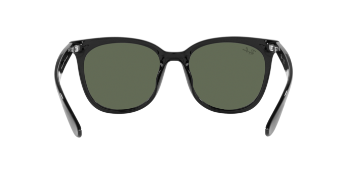 Ray-Ban 0RB4379D