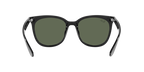 Ray-Ban 0RB4379D