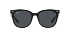 Ray-Ban 0RB4379D