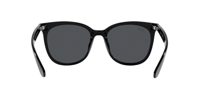 Ray-Ban 0RB4379D
