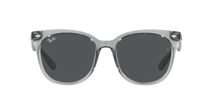 Ray-Ban 0RB4379D