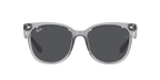 Ray-Ban 0RB4379D