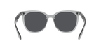 Ray-Ban 0RB4379D