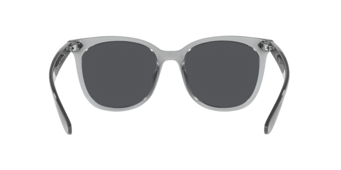 Ray-Ban 0RB4379D