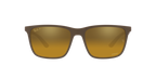 Ray-Ban 0RB4385