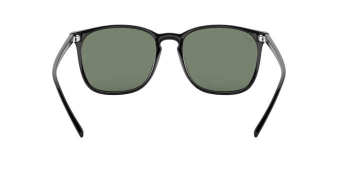 Ray-Ban 0RB4387F