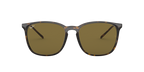 Ray-Ban 0RB4387F