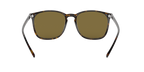 Ray-Ban 0RB4387F
