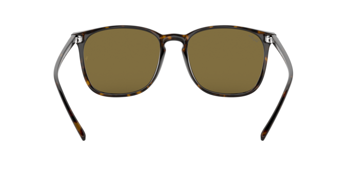 Ray-Ban 0RB4387F