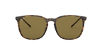 Ray-Ban 0RB4387