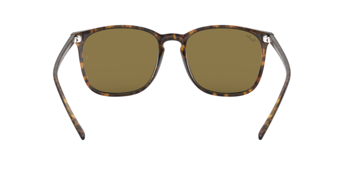 Ray-Ban 0RB4387