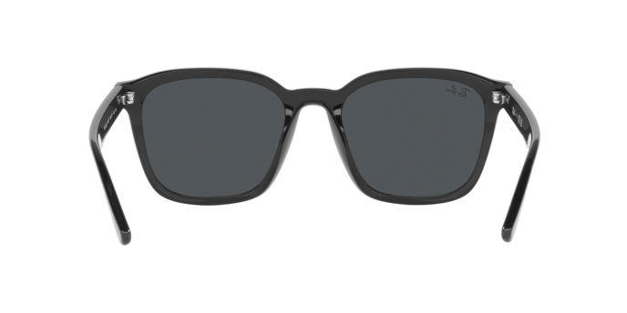 Ray-Ban 0RB4392D