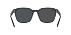 Ray-Ban 0RB4392D