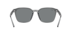 Ray-Ban 0RB4392D