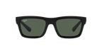 Ray-Ban 0RB4396 WARREN