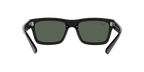 Ray-Ban 0RB4396 WARREN
