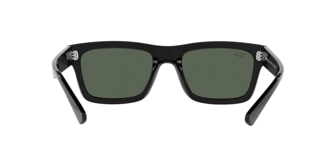 Ray-Ban 0RB4396 WARREN