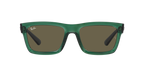 Ray-Ban 0RB4396 WARREN