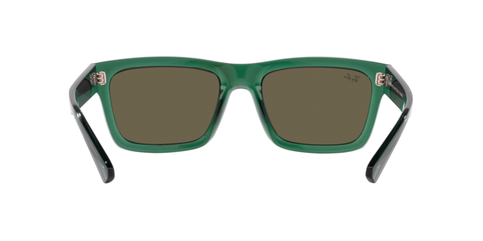 Ray-Ban 0RB4396 WARREN