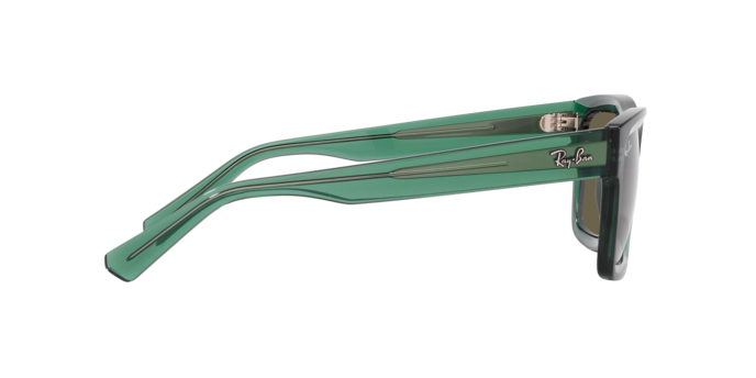 Ray-Ban 0RB4396 WARREN