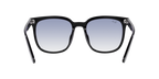 Ray-Ban 0RB4401D