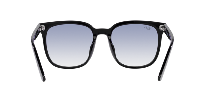 Ray-Ban 0RB4401D
