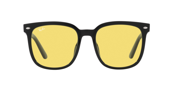 Ray-Ban 0RB4401D