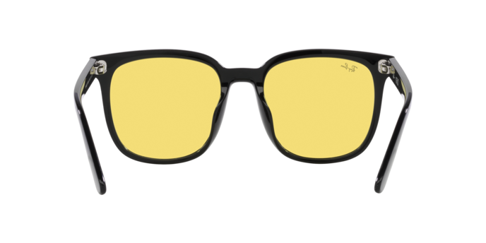 Ray-Ban 0RB4401D