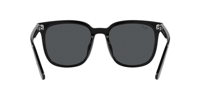 Ray-Ban 0RB4401D
