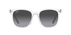 Ray-Ban 0RB4401D