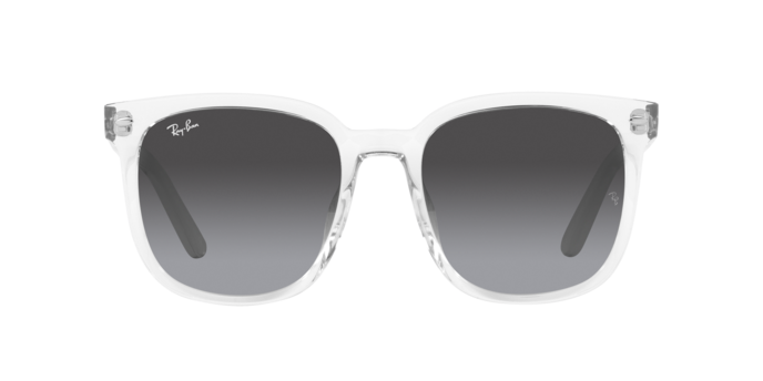 Ray-Ban 0RB4401D