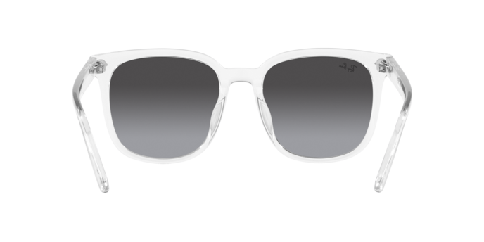 Ray-Ban 0RB4401D