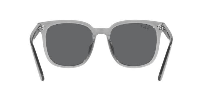 Ray-Ban 0RB4401D