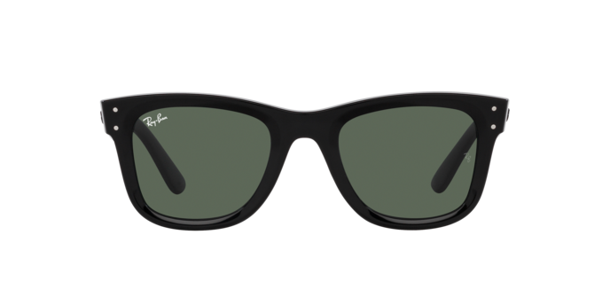 Ray-Ban 0RBR0502S WAYFARER REVERSE